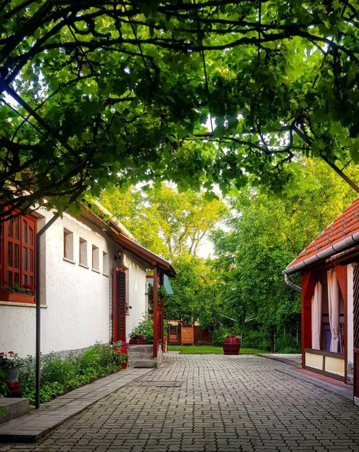 Old House Bogacs Villa Exterior photo